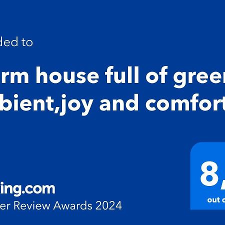 Warm House Full Of Green Ambient,Joy And Comfort Zagreb Luaran gambar