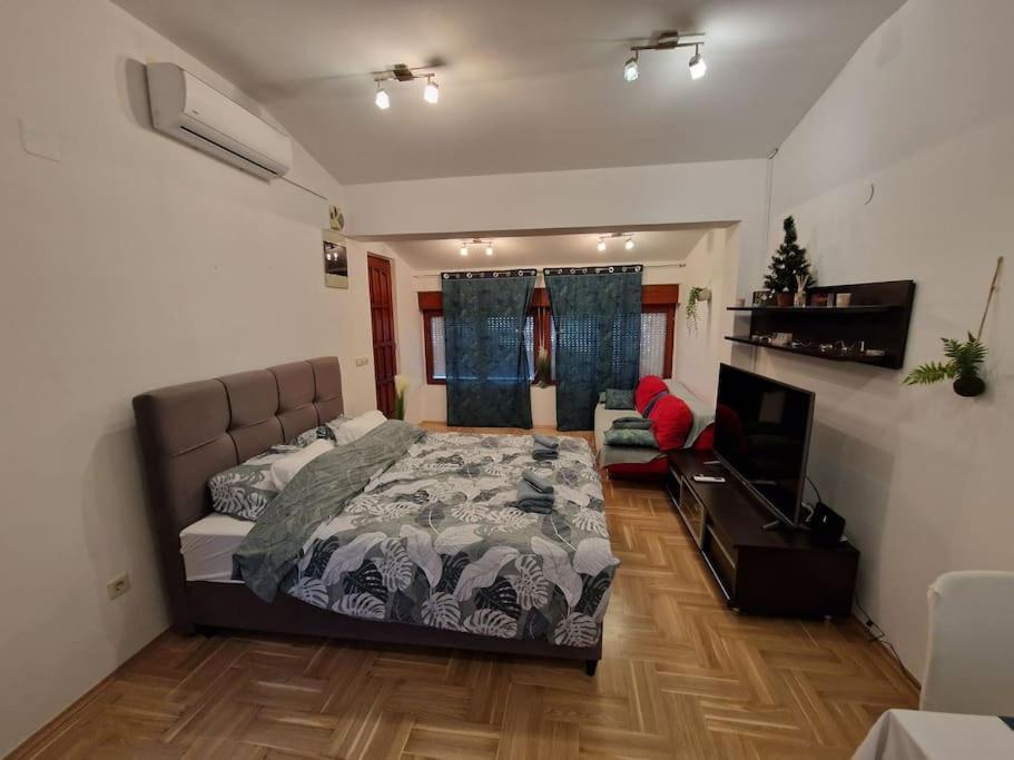 Warm House Full Of Green Ambient,Joy And Comfort Zagreb Luaran gambar