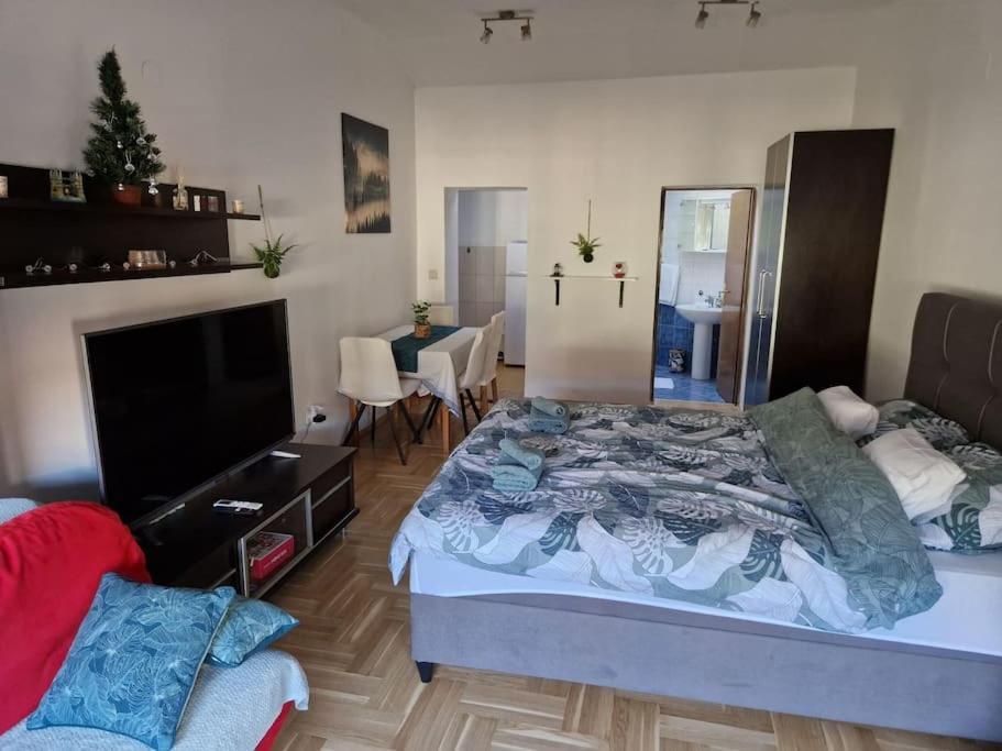 Warm House Full Of Green Ambient,Joy And Comfort Zagreb Luaran gambar