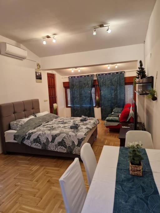 Warm House Full Of Green Ambient,Joy And Comfort Zagreb Luaran gambar