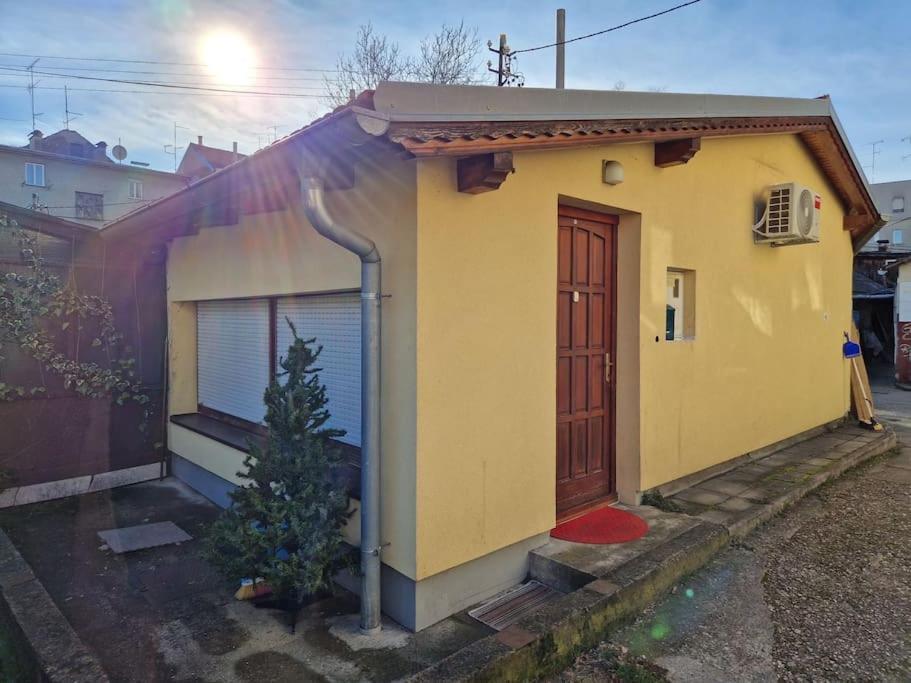 Warm House Full Of Green Ambient,Joy And Comfort Zagreb Luaran gambar