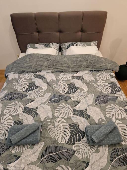 Warm House Full Of Green Ambient,Joy And Comfort Zagreb Luaran gambar